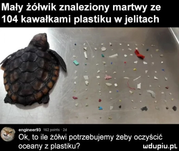 mały żółwik znaleziony martwy ze     kawałkami plastiku w jelitach irch cna ok to ile zsiwi potrzebujemy żeby oczyścić oceany z plastiku mdupiu. pl