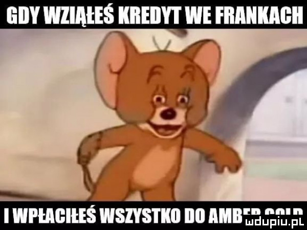i. v v t i. i wphigiiis wszystk ibl imre ee je