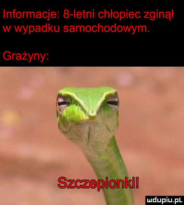 informacje   istni chłopiec zginął w wypadku samochodowym. grażyny av