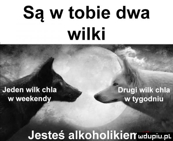 są w tobie dwa wilki jeden wilk chla. drugl wlik chla w weekend w tygodniu jesteś alko olikien