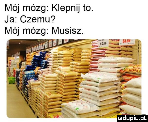 mój mózg klepnij to. ja czemu