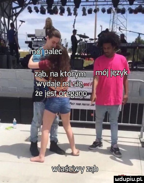 ć l mwxząb. na którym mai ięzvkśf t wydałem że iest oleg q łą h