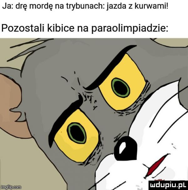 ja drę mordę na trybunach jazda z kurwami pozostali kibice na paraolimpiadzie