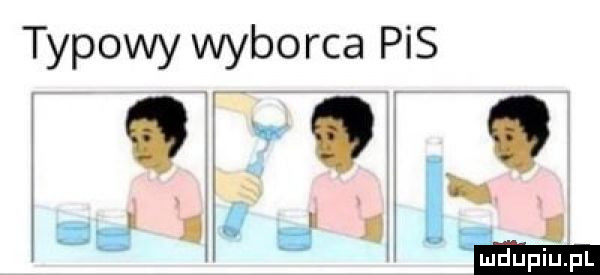 typowy wyborca pis   qe im. i