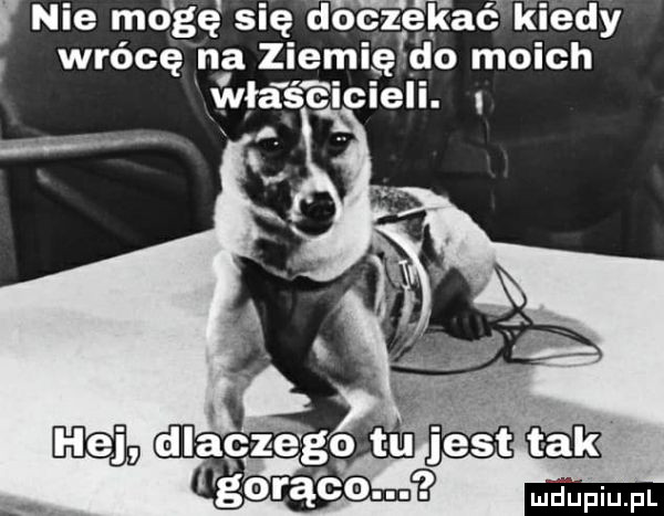 nie mó gę się doczekać kiedy wrócę na ziemi do moich marci