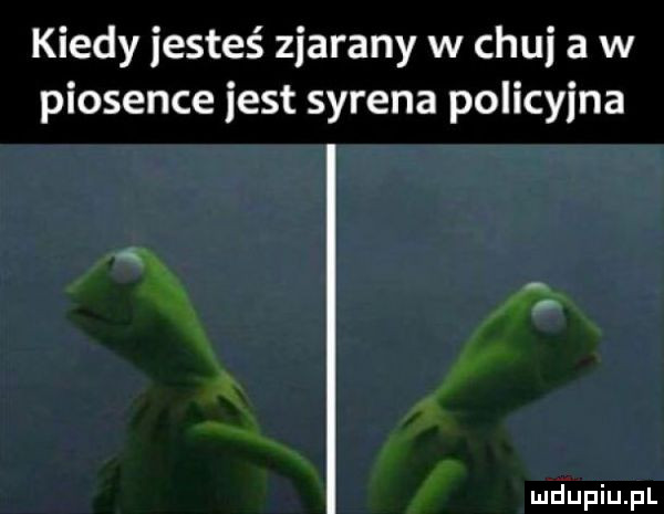 kiedy jesteś zjarany w chuj a w piosence jest syrena policyjna