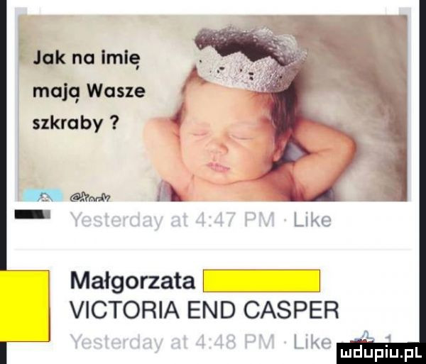 jak no imię majq wasze szkraby     małgorzata victoria end camper