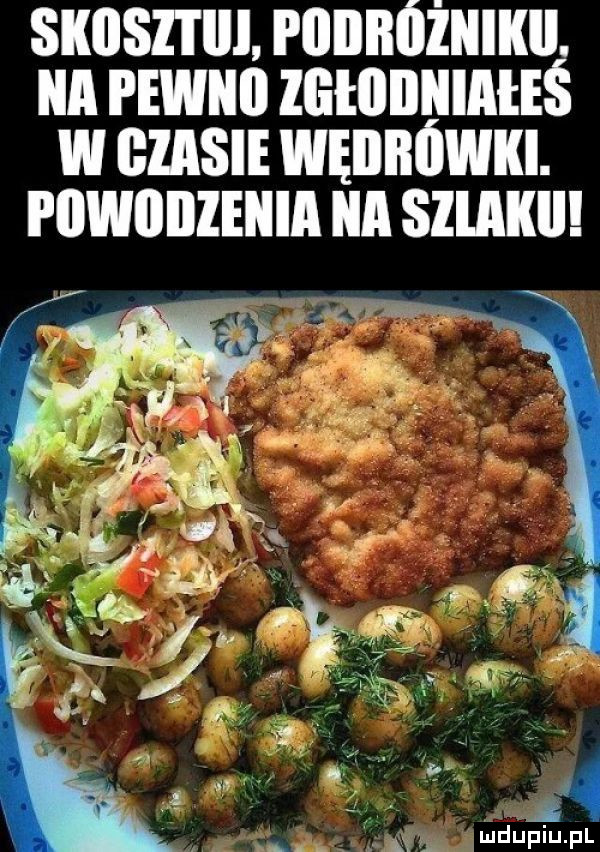 siiiiszi iii podróżnik. ica pewno lliłiiiliiialeś w czasie wędrówki. piiwiiiizeiiia ica slliiiiii
