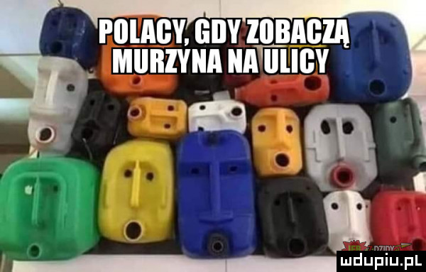 plllagy giby llllłlliłlll i miiilzyiia a llligy