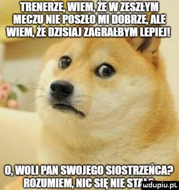 i iiellelllﬁw wie. żyw zesiłyh hegiiiiiie i iiszhi mi bombie af  . widii plii swiijeeii siustiizeiiga iiiiiiiiiiem. iiib się liievs i i łelpqul