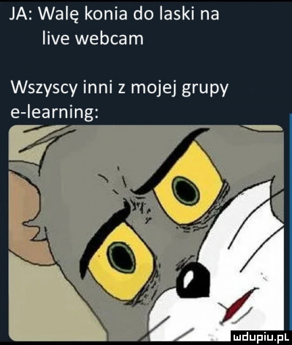 ja walę konia do ilski na live webcam wszyscy inni z mojej grupy e iearning