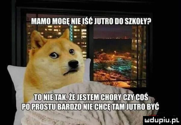 mmmmmu unv lang. wwmmimr ice mﬁdupiu. pl