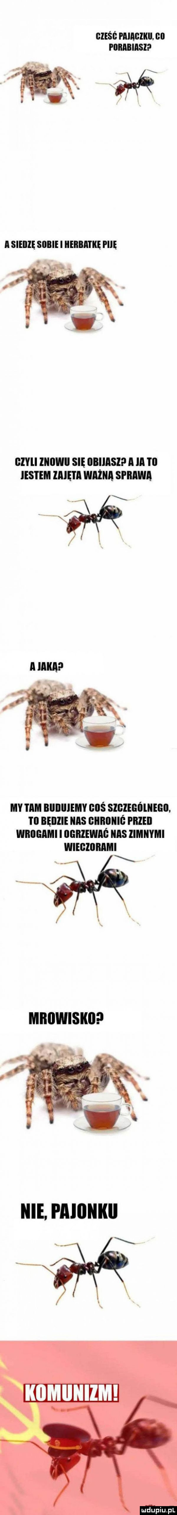 elise pwikii. co piiiiibiisi czyli liiiiwii się iiiiiiiisl i iii jestem lalę i l mina sprawą mika my tim iiiiiiiiiemy ﬁlls slglególiiegil. t  iięiizie nas iiiiiiiiiiiś piileil wiiiiiiiim i iiiiiizewiiś iiiis zimiiymi wiegiiiiiiiiii. komiiiiizm