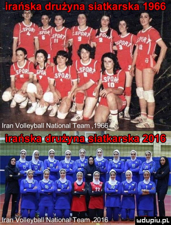 t. iran volleyball national team ak. abakankami śl l r hvoile b an nazionai team