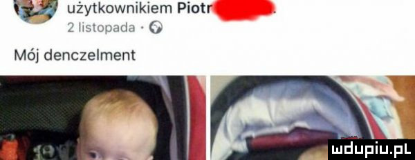 użytkownikiem piotr gna uwm mój denczelment mdupiupl