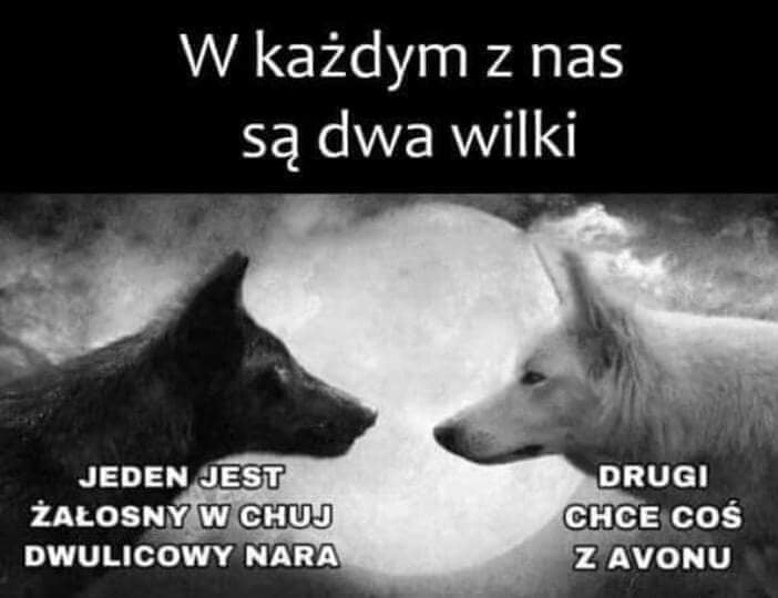 w każdym z nas są dwa wilki