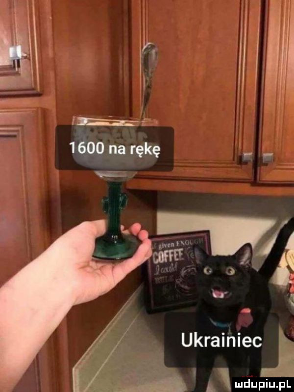 ukrainiec g. abakankami t l ludu