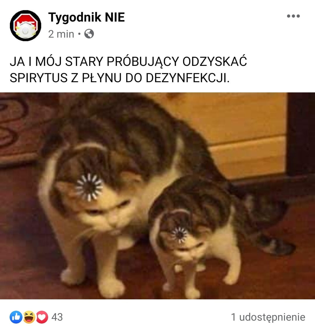 tygodnik nie   min ja mój stary próbujący odzyskaó spirytus z płynu do dezynfekcji.   udostępnienie