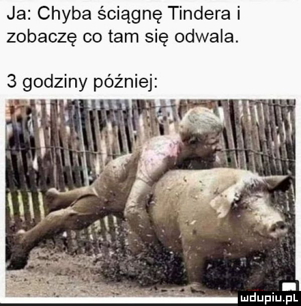 ja chyba ściągnę tondera i zobaczę co tam się odwala.   godziny później