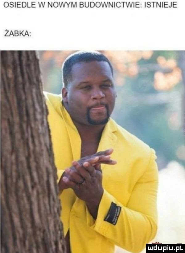 osiedle w nowym budownictwie żab ka istnieje