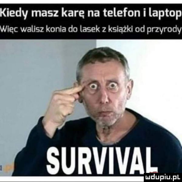 indy masz kare na telefon i laptop lec walisz konia do lasek z książki od przyrody survival