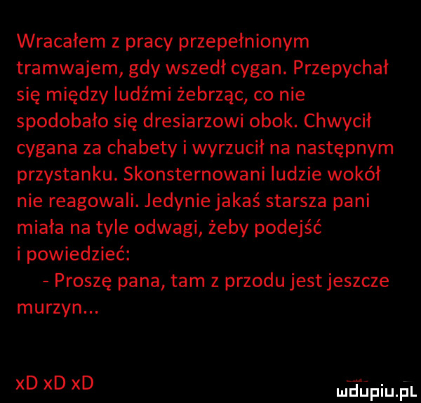 wracałem z pracy przepełnionym tramwajem gdy wszedl cygan. przepychał się między ludźmi żebrząc co nie spodobało się dresiarzowi obok. chwycil cygana za chabety i wyrzucił na następnym przystanku. skonsternowani ludzie wokal nie reagowali. jedynie jakaś starsza pani miała na tyle odwagi żeby podejść i powiedzieć proszę pana tam z przodu jestjeszcze murzyn. xd xd xd meiniupl