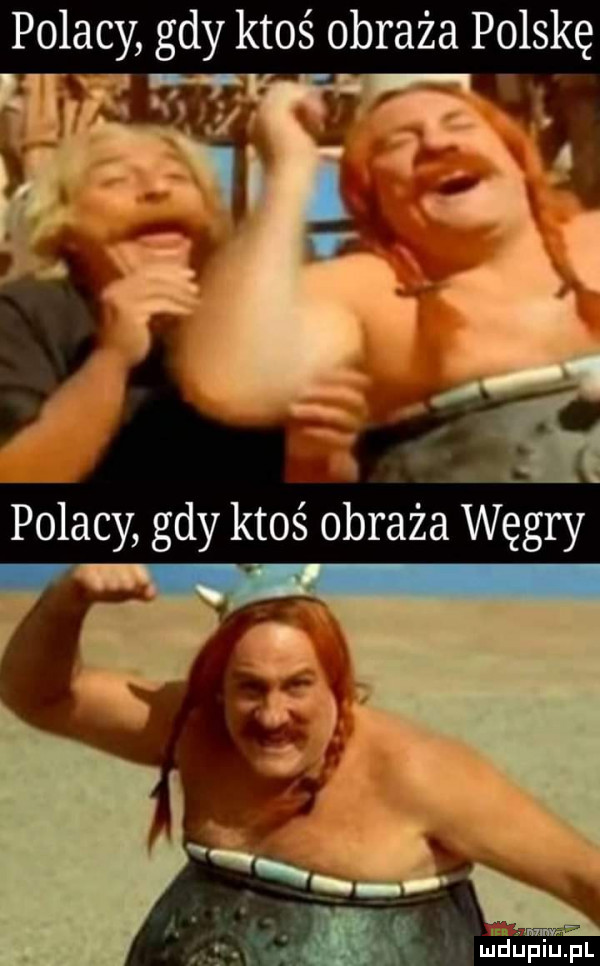 polacy gdy ktoś obraża polskę udńhiwupl