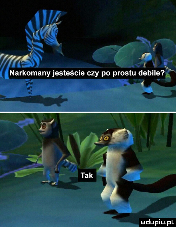i i ł m i narkomany jesteście czy po prestu debile l. tak