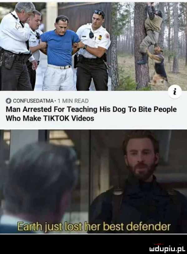 o confusedatma mw ili m man arrested for teaching his dog to bite people who make tiktok videos. amhjugt list her best defender