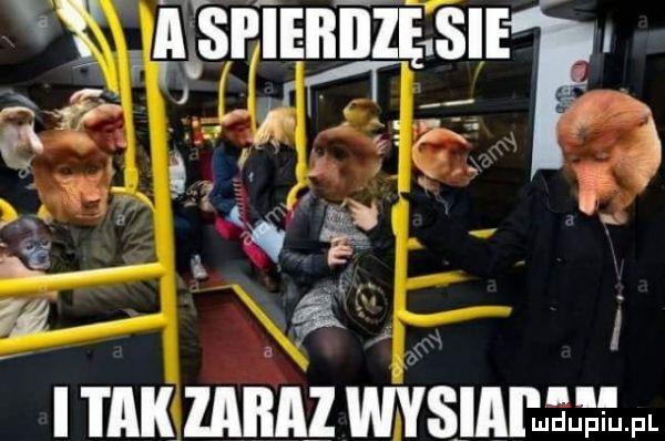 v si ie bicze sie x ﬁr in f.   i. św a imak za az wysili      fl