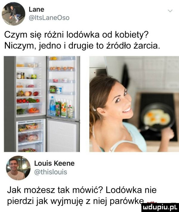 lane x itslaneoso czym się różni lodówka od kobiety niczym jedno i drugie to źródło żarcia. i ś l m louis keane thislouis jak możesz tak mówić lodówka nie pierdzi jak wyjmuję z nie paréwkeelma