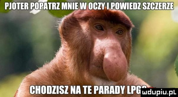 n a iiiiiiiiiisi iii i piiiiiiiiy lpeęuupiu. pl pinii ebi pﬂﬁ iiil midi e w iiiiiy i. fiiwieiii