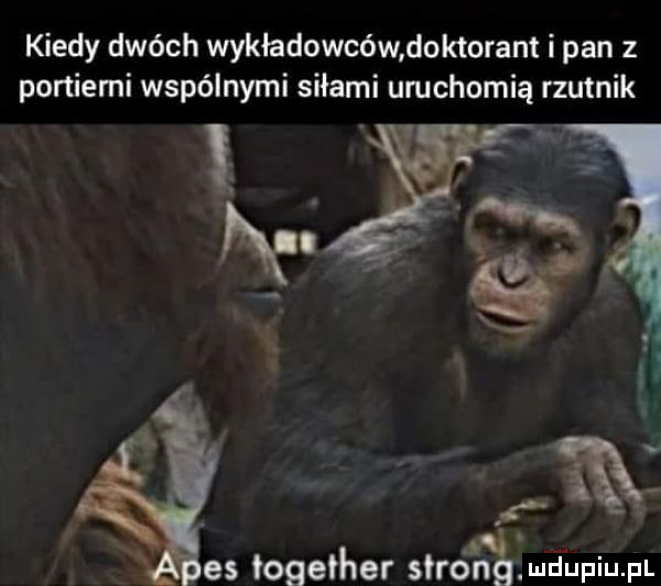 kiedy dwóch wykładowców doktorant i pan z portiemi wspólnymi siłami uruchomią rzutnik mi es together s rca mgupiu pl