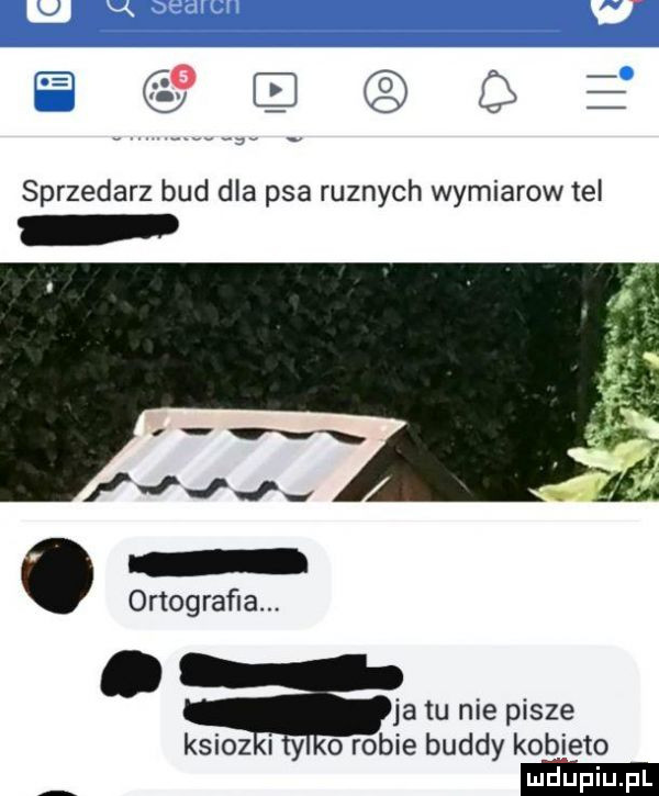 cósqdqł sprzedasz bud dla psa rudnych wymiarow tel ju ortograﬁa. ja tu nie pisze ksioz y   robie buddy kobieto