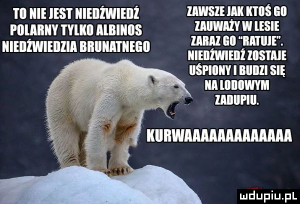 m iiieiest iiienźwieilż mwsmu mian rnunnvrvum albiiiils wiwvwiesie imam ell iii i icie. iiieiiżwieiiiia biiiiiiatiiego niebiwieiii lal sam iiśfiiiiivibiiiiiisię iiaiiiiiiiwym znnurm. mmm
