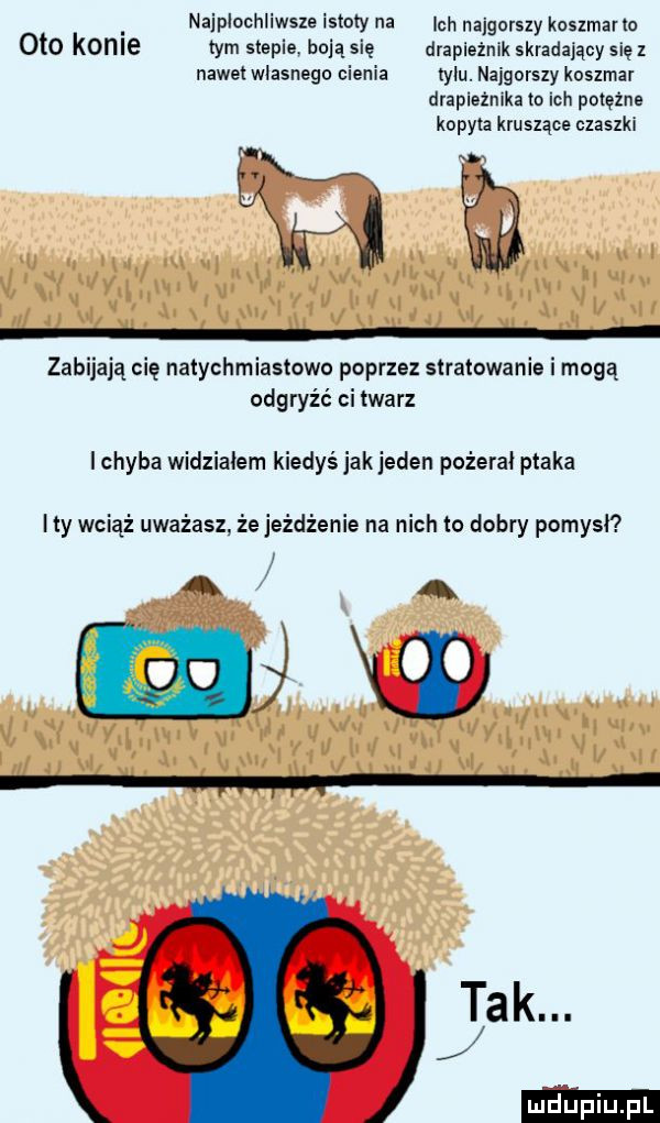 naipiochliwsze istoty na ich najgorszy koszmar ro oto koale tym stapia budą się drapieżnik skradający się   nawet wlasnego cienia tylu. najgorszy koszmar drapieżnika to ich potężna kopyta kruszące czaszki zabijają cię natychmiastowo poprzez stratowanie i mogą odgryźć ci twarz ichyba widziałem kiedyś jak jeden pożerai ptaka ity wciąż uważasz że jeżdżenie na nich to dobry pomysł