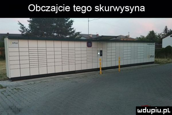 obczajcie tego skurwysyna