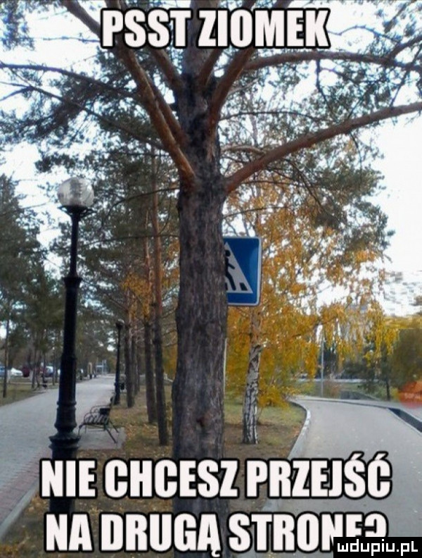 a druga sab mdupiu. pl