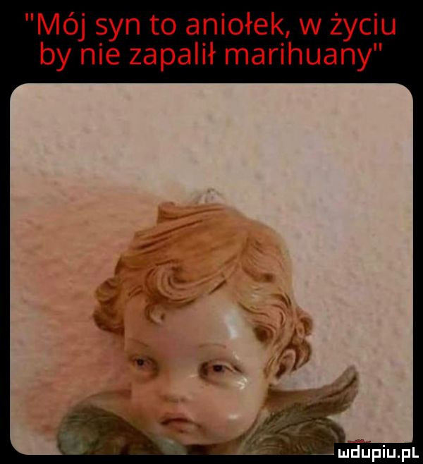 mój syn to aniołek w życiu by nie zapalił marihuany fir ludupiu. pl