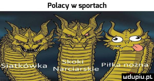 polacy w sportach skoki. piłka nożna narciarskie siatkówka