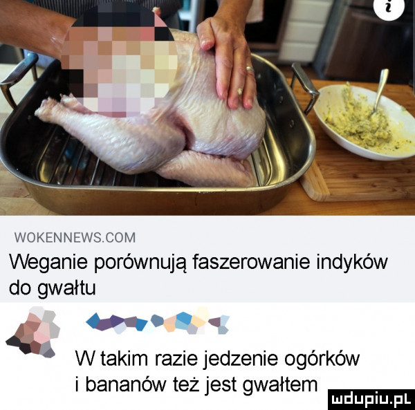 wokennews com weganie porównują faszerowanie indyków do gwałtu oq  . wtakim razie jedzenie ogórków bananow tez jest gwałtem