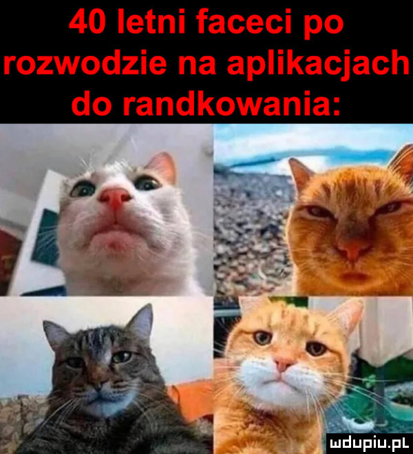 letni faceci po rozwodzie na aplikacjach do randkowania lal iupiupl