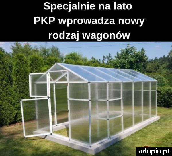specjalnie na lato pkp wprowadza nowy rodzaj wagonów