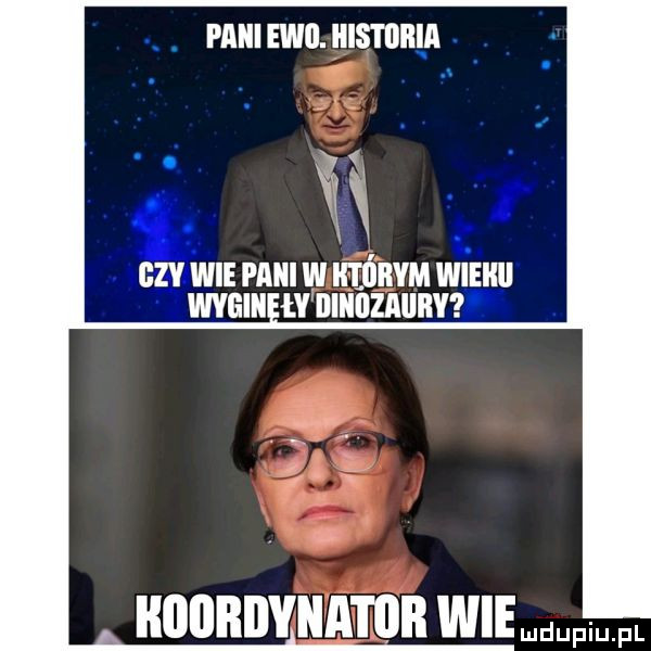 paiiiewojiistoięl. abakankami. yﬁ   . a w bavivvie pani w iieiiiivm wieki wvgiii łv illllilzallrv koordynator wiemmfiu fl