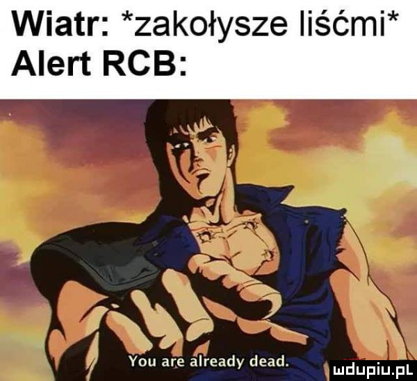 wiatr zakołysze iiśćmi alert rab y-u are already diad