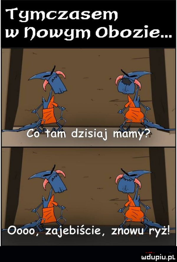tymczasem w nowym obozie. l il ła rh dzisiaj mamyii v a. śś. oooo zajeblsae znowu ryz
