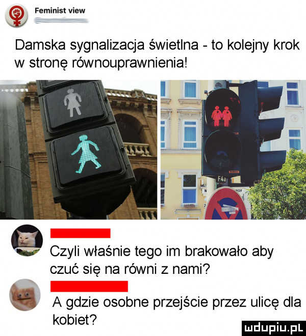 feminist view damska sygnalizacja świetlna to kolejny krok w stronę równouprawnienia czyli właśnie tego im brakowalo aby czuć się na równi z nami a gdzie osobne przejście przez ulicę dla kobiet