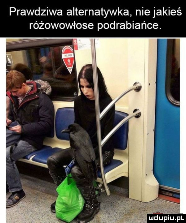 prawdziwa alternatywna nie jakieś różowowłose podrabiańce