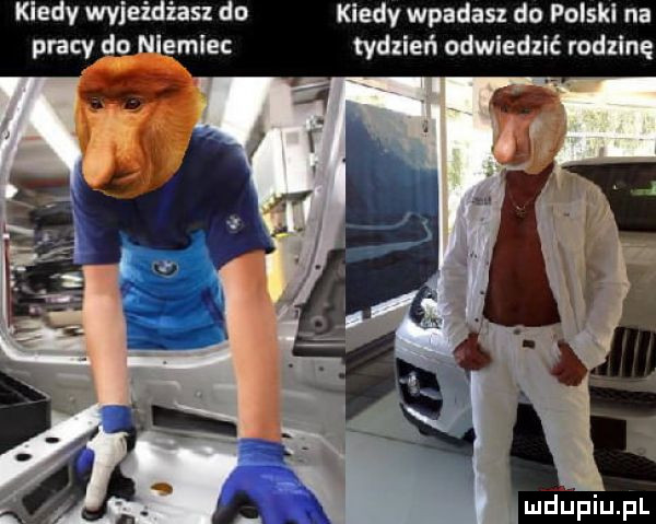 kiedy wpadasz do polski na pracy do niemiec tydzień odwiedzić rodllnę