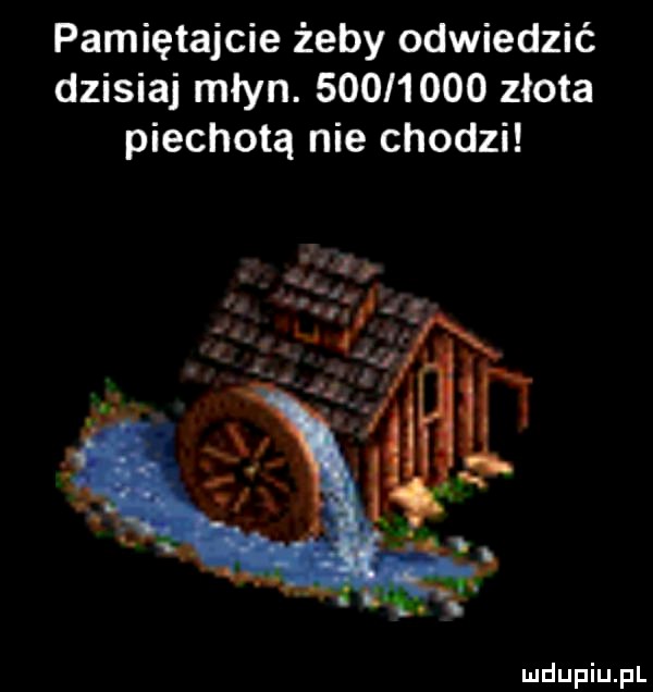 pamiętajcie żeby odwiedzić dzisiaj młyn.          złota piechotą nie chodzi mfńpiujil